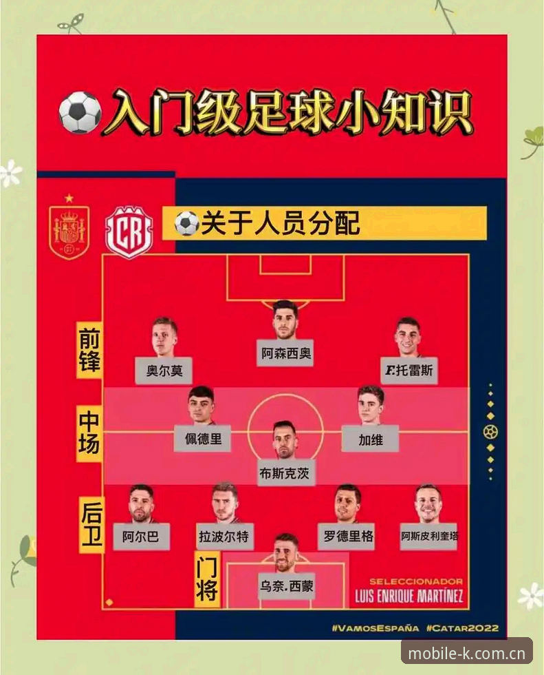 K体育平台观赛操作教程：世界杯签证危机下的球迷应对指南